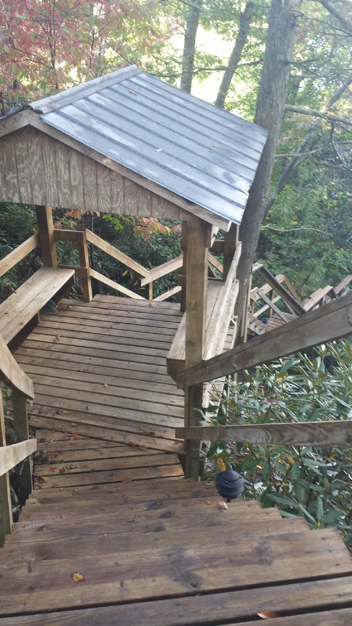Metal roofed shelter over wooden steps on a wooded walkway — Skylight Repair & Installation work by our crew in Bartlett