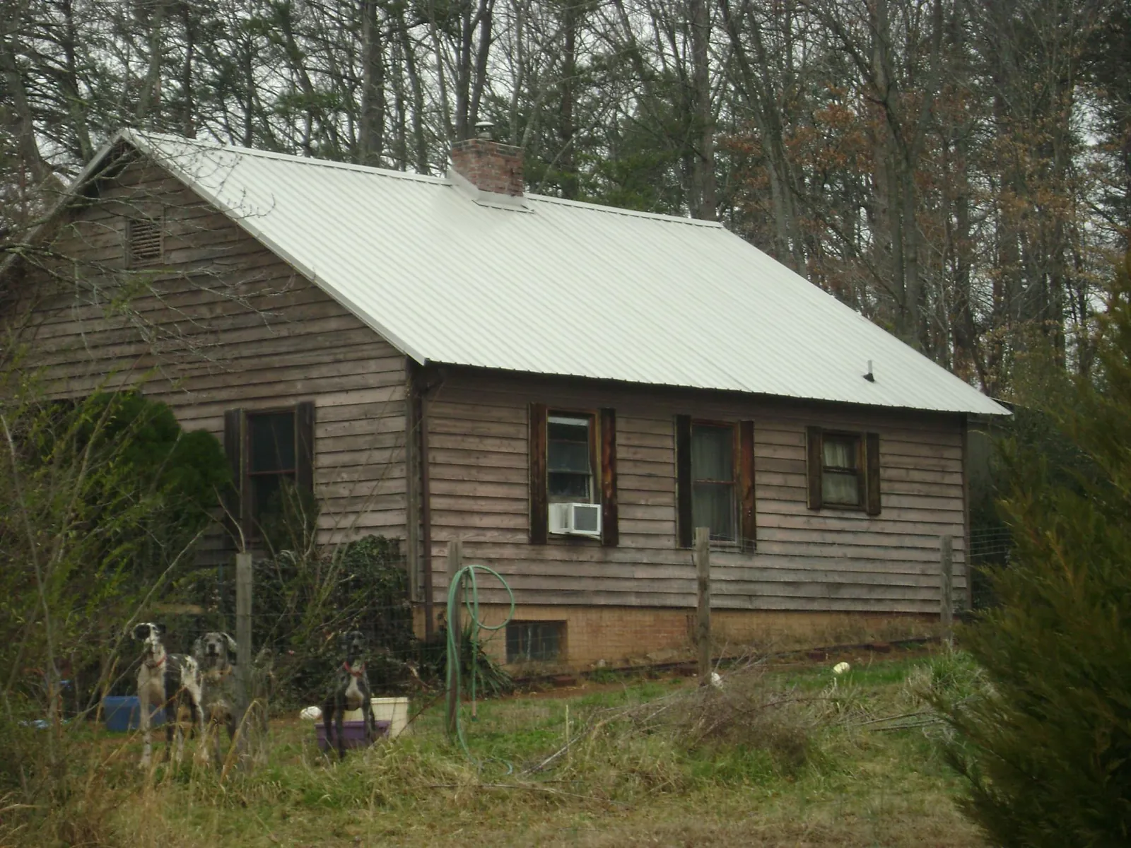 White metal roof on an old wood sided farmhouse, from a Asphalt Shingle Roof Repair job in Bartlett